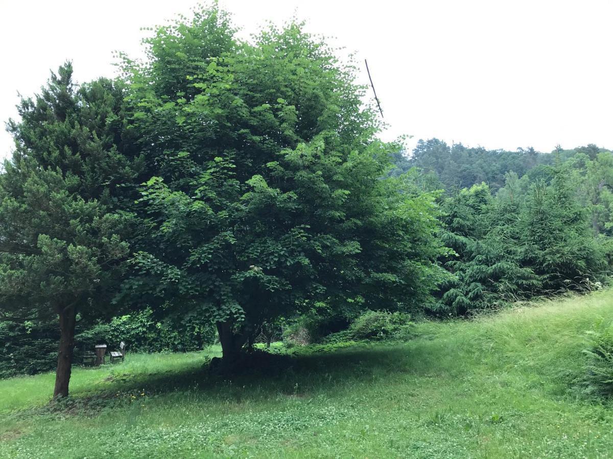 Apartmany Janska Exteriör bild